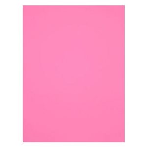 Feuilles mousse ROSE 9"X12"