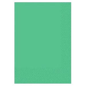Feuilles mousse VERT PÂLE 9"X12"