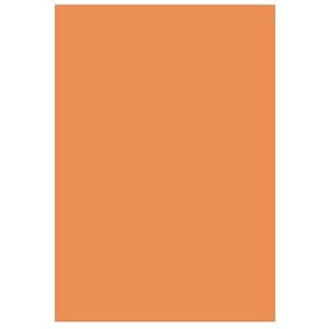Feuilles mousse ORANGE 9"X12"