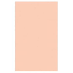 Feuilles mousse PÊCHE 9"X12"
