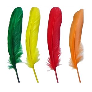 Plumes d'ENCRIER couleurs VIVES 29 / pqt