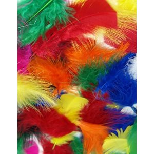 Plumes assorties MULTICOLRES 8g / pqt