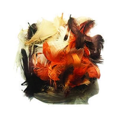 Plumes assorties AUTOMNE 8g / pqt Plumes assorties AUTOMNE 8g / pqt