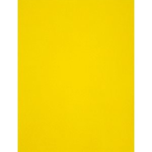 Feutrine JAUNE 9"X12"
