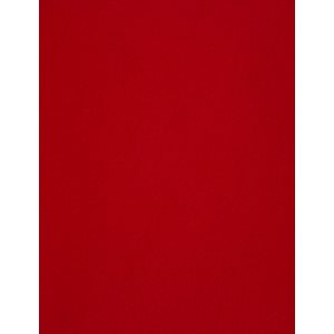 Feutrine ROUGE 9"X12"