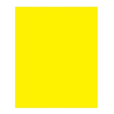 Carton Bristol 2-Plis JAUNE 22" X 28" Carton Bristol 2-Plis JAUNE 22" X 28"