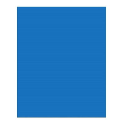 Carton Bristol 2-Plis BLEU FONCÉ 22" X 28"