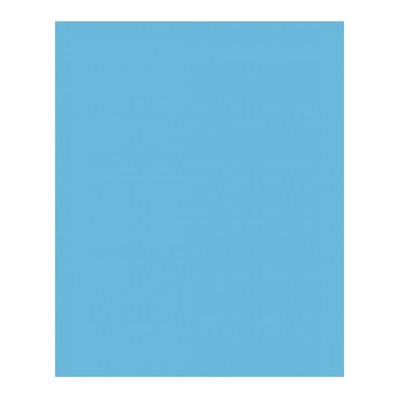 Carton Bristol 2-Plis BLEU PÂLE 22" X 28" Carton Bristol 2-Plis BLEU PÂLE 22" X 28"
