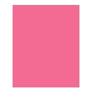 Carton Bristol 2-Plis MAGENTA 22'' X 28''