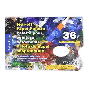 Palette de papier détachable 9" X 12"