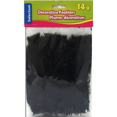 Plumes décoratives NOIRE 14g / pqt Plumes décoratives NOIRE 14g / pqt