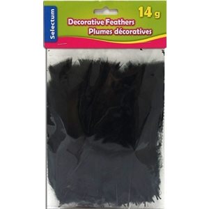 Plumes décoratives NOIRE 14 Grammes