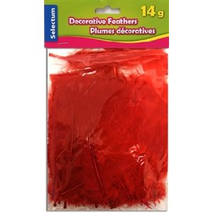 Plumes décoratives ROUGE 14 Grammes